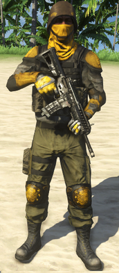 Privateer Defender