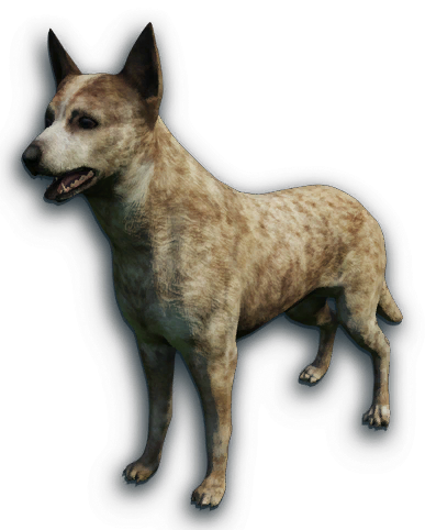 canidae far cry wiki fandom powered by wikia dingo