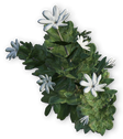 FC3 cutout tiare