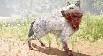 Canidae | Far Cry Wiki | FANDOM powered by Wikia