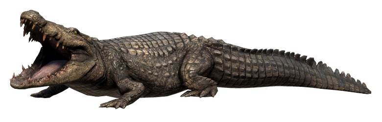 Mugger Crocodile | Far Cry Wiki | Fandom