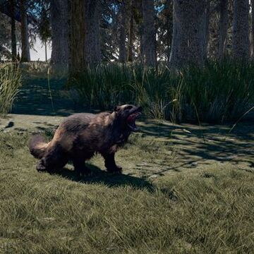 Wolverine Far Cry Wiki Fandom