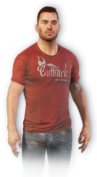 FC3 cutout grant