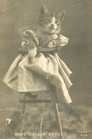 OldestLolcat