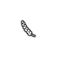 Wheat FS15