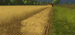 Straw