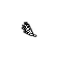 Barley FS15