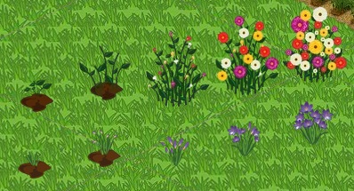 FlowerGrowth