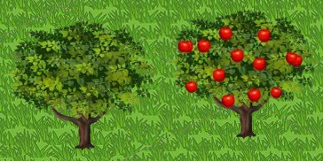 Apple Tree Growth