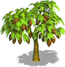 Image - Cocoa tree 3.png | Farm Tribe 3: Farm Island Wiki | FANDOM ...