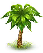 Palm green 1