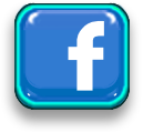 Facebook ico