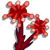 Sundew Plant-icon