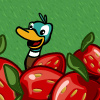 Bumper Strawberries