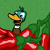 Bumper Peppers