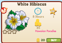White Hibiscus Market Info