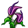 Dragon Flower-icon