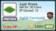 Lush grass
