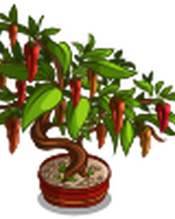 Habanero Bonsai Ii Farmville Wiki Fandom