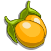 A Three Hour Tour Quest | FarmVille Wiki | FANDOM powered by Wikia