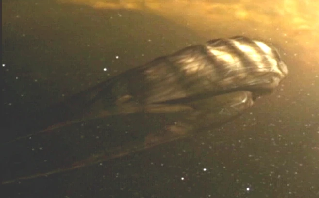 Elack Farscape Encyclopedia Project FANDOM Powered By Wikia