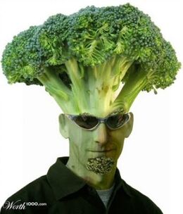 skylanders broccoli guy figure