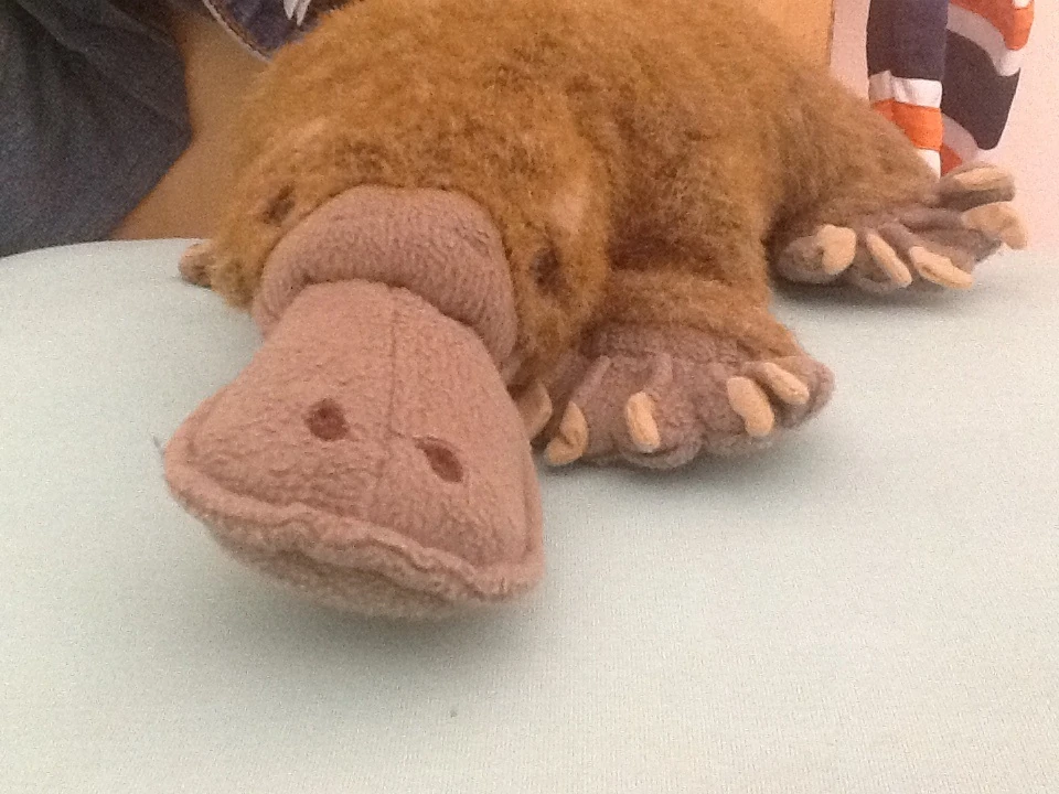 270s platypus
