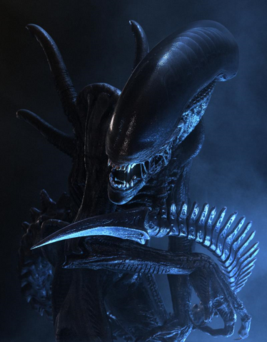 File:XenomorphXX121.png