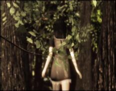 Mayubutterfly