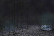 300px-Backyard
