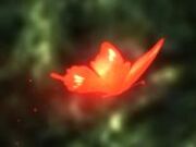 200px-Crimson butterfly