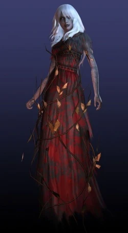 Image result for spirit camera woman in black