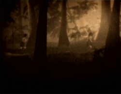 Young Mio and Mayu in forest