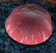 Ruby gel