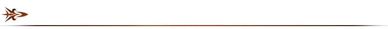 Interlude4divider