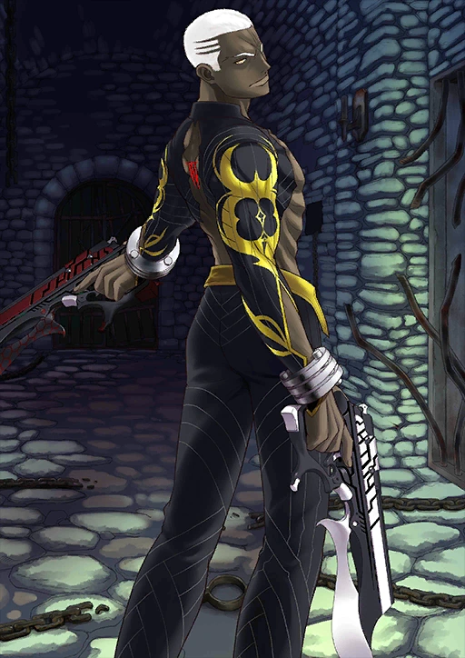 EMIYA (Alter) | Wikia Fate Grand Order Việt Nam | FANDOM powered by Wikia