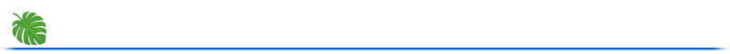 SummerEventDivider2