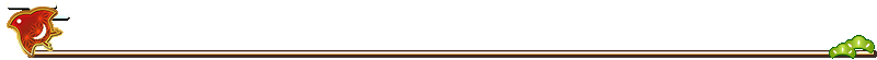 NewYearEvent2019Divider