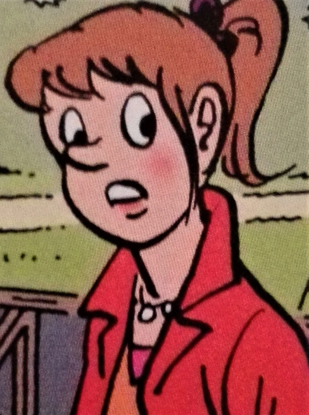 Bieke Crucke F.C. de kampioenen strips Wikia FANDOM powered by Wikia