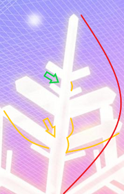 Universe with brancing timelines