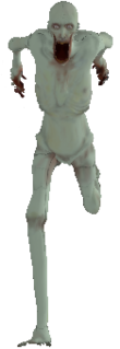 Scp096