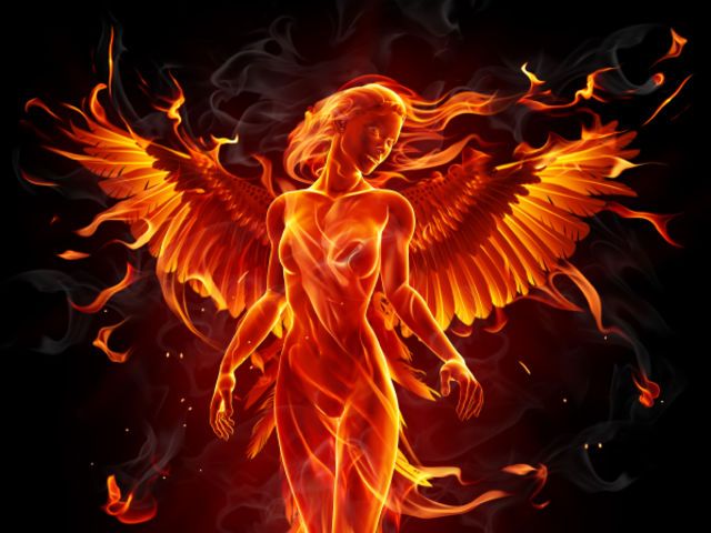 the phoenix of life