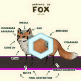 Meme Fox