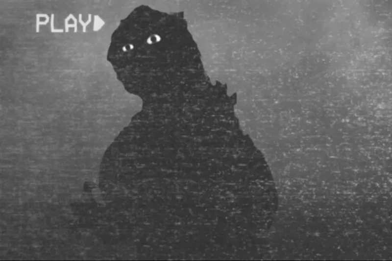 800