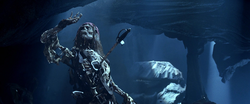 Fight on Isla de Muerta 16-0