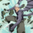 Avatar de Jellal dragnir