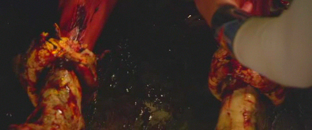 File:Vlcsnap-2013-07-30-21h50m41s46.png