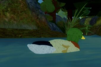 Roblox Feather Family Wiki