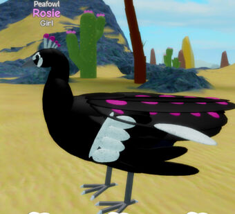 Roblox Feather Family Bird Of Paradise