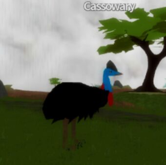 Feather Family Roblox Archaeopteryx
